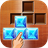 Block Puzzle 2016 icon