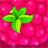 Fruits Mania! icon