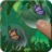 Butterfly Mania - Pop Bubbles icon