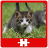 Cats and Kittens Puzzles icon
