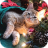 Christmas Cats Puzzle icon