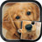 Cute Dogs Jigsaw Puzzle version 3.0