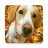 Cute Dogs Puzzle 1.05