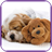Jigsaw Dogs Puzzle icon