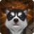 Cu Pup Maze Runner icon