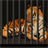 Tiger Escape icon