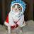 Cute Cats Clothes Puzzle icon
