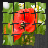 Exciting Puzzle - Flowers icon