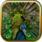 Peacock Puzzle Games  icon
