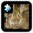Rabbit Puzzle APK Download