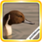 PuzzleBoss: Lake Birds Jigsaw Puzzles icon