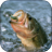 Joy Fishing Game icon