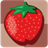 Kids Memory Fruit icon