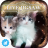 Where Are My Cats Live Jigsaw APK Download