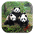 Panda Diringkas icon