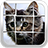 Slide The Picture APK Download