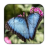 Tile Puzzles Butterflies version 1.15.bf