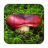 Tile Puzzles Mushrooms icon