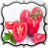 Tomatoes Jigsaw Puzzles icon