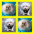 Pet Crush icon