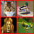 Animal Guess version 1.3.7a