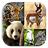 Animal Zoo Puzzle icon