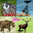 Animals Features Quiz icon