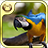 Bird Species Quiz HD icon