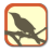 BirdyQuiz icon