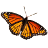 Butterfly Swap Puzzle icon