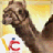 CamelRace icon