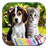 Cat And Dogs icon