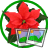 Picture Pack - Christmas Pack 2009 icon