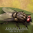 Colony Clash Merge Fly icon