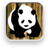 Cool Panda Match icon