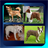 Dog Breed Picture Quiz icon