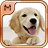 Dog Breeds Quiz HD icon
