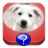 Dog Quiz icon