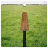 Cricket Tuk Tuk icon
