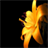 FlowerBallz icon