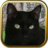 Black Cat Puzzles  version 3.1.6