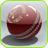 Cricket Games version 1.0.2