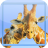 Giraffe Jigsaw Puzzles icon
