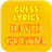 Guess Lyrics D Guetta version 1.0