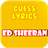 Guess Lyrics Ed Sheeran version 1.0