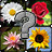 Guess The Flowers icon