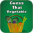Guess That Vegetable version 1.0