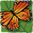 Insect Trivia icon