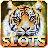 Wild Cats Slots icon