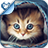 Kitty Cat Breeds Quiz HD icon